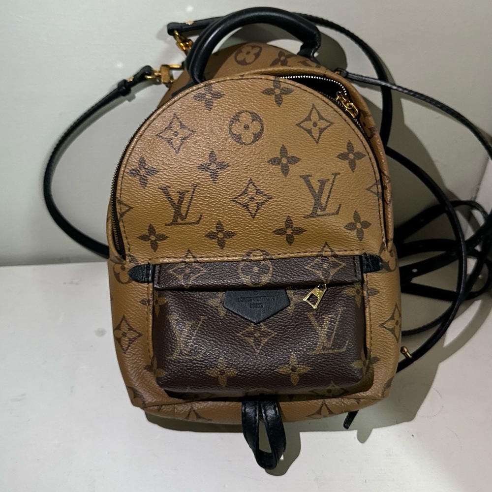 Louis Vuitton Palm Spring Mini Reverse Monogram Bag